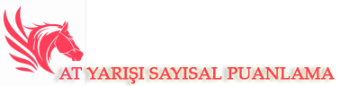 SAYISAL DİGİTAL BÜLTEN & AGF ANALİZ